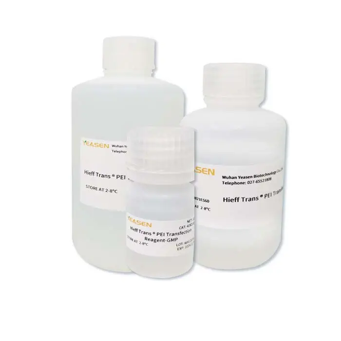 Hieff Trans™ Ultra PEI AAV Transfection Reagent - 100 µL