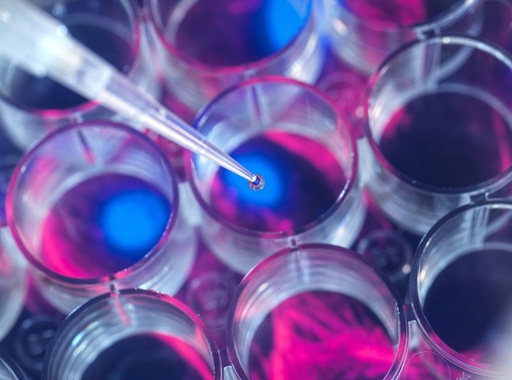 [220-PCR-253] PCR Control Kit