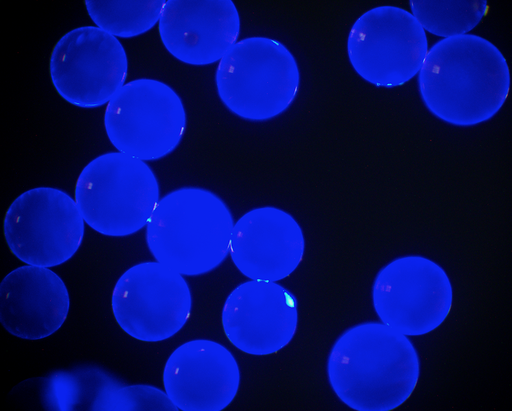 [AFB-1600-NH2] Blue PS Fluorescent Particles, 16 um-NH2