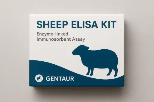 [100-E-35G] Sheep IgG Elisa Kit